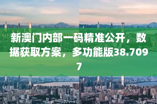 新澳门内部一码精准公开，数据获取方案，多功能版38.7097