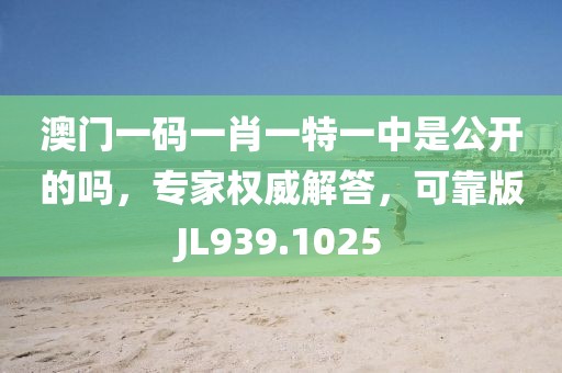 澳门一码一肖一特一中是公开的吗，专家权威解答，可靠版JL939.1025