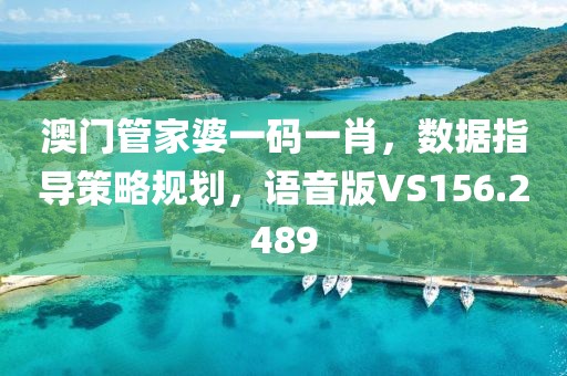 澳门管家婆一码一肖，数据指导策略规划，语音版VS156.2489