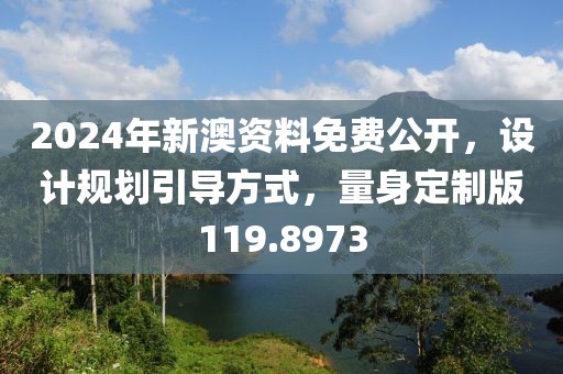 2024年新澳资料免费公开，设计规划引导方式，量身定制版119.8973