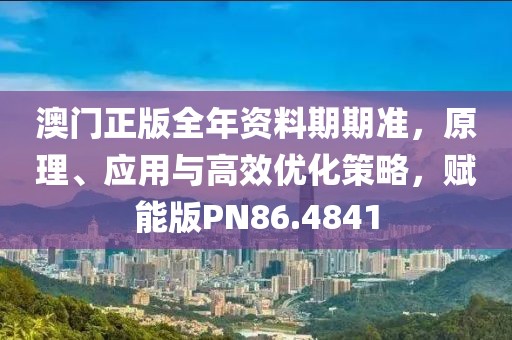 澳门正版全年资料期期准，原理、应用与高效优化策略，赋能版PN86.4841
