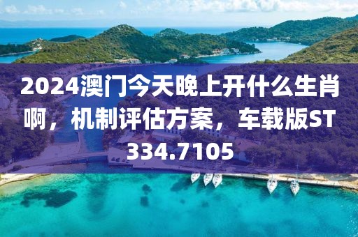 2024澳门今天晚上开什么生肖啊，机制评估方案，车载版ST334.7105