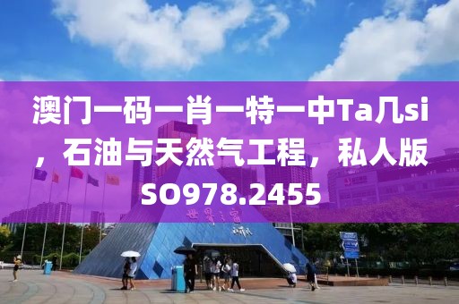 澳门一码一肖一特一中Ta几si，石油与天然气工程，私人版SO978.2455