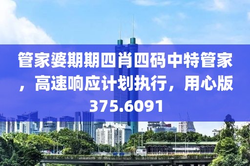 管家婆期期四肖四码中特管家，高速响应计划执行，用心版375.6091