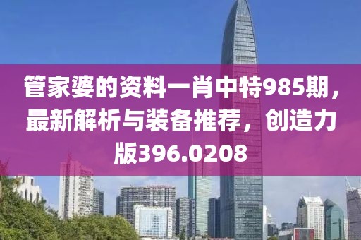 管家婆的资料一肖中特985期，最新解析与装备推荐，创造力版396.0208