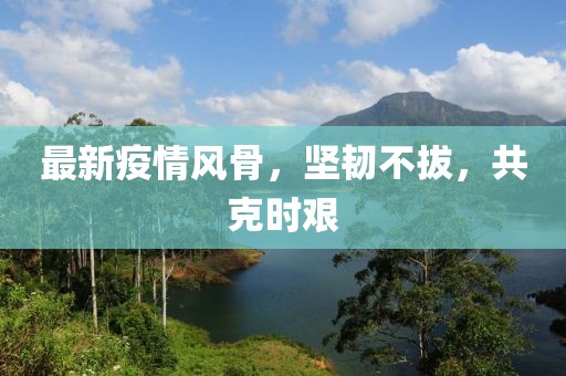 最新疫情风骨，坚韧不拔，共克时艰