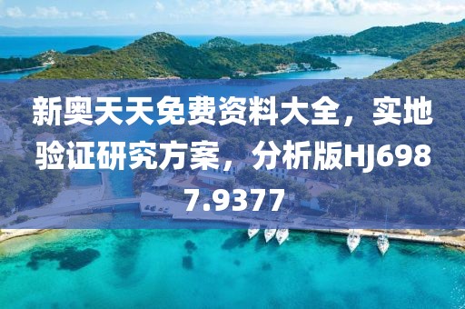 新奥天天免费资料大全，实地验证研究方案，分析版HJ6987.9377