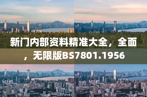 新门内部资料精准大全，全面，无限版BS7801.1956