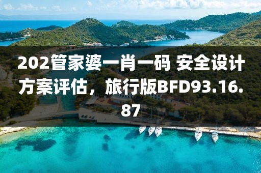 202管家婆一肖一码 安全设计方案评估，旅行版BFD93.16.87