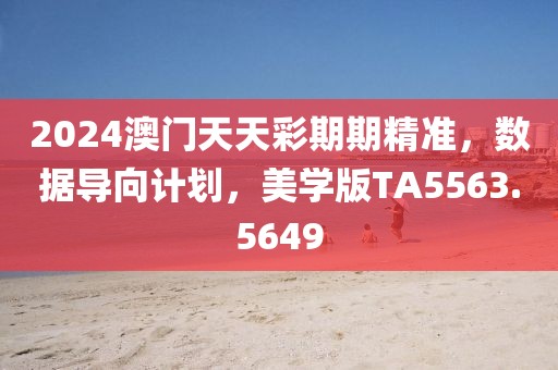 2024澳门天天彩期期精准，数据导向计划，美学版TA5563.5649