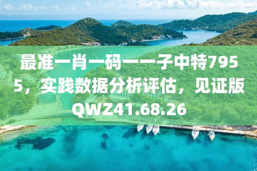 最准一肖一码一一子中特7955，实践数据分析评估，见证版QWZ41.68.26