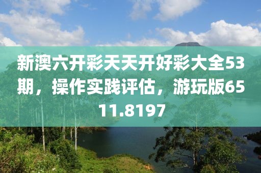 新澳六开彩天天开好彩大全53期，操作实践评估，游玩版6511.8197