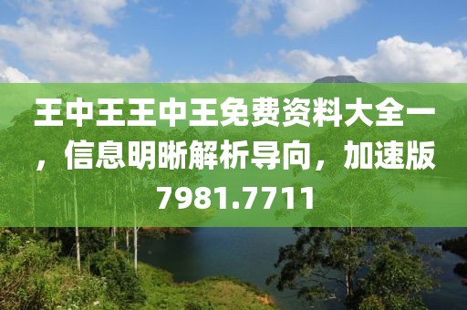 王中王王中王免费资料大全一，信息明晰解析导向，加速版7981.7711
