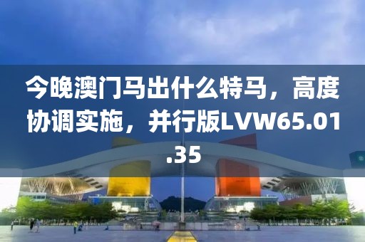 今晚澳门马出什么特马，高度协调实施，并行版LVW65.01.35