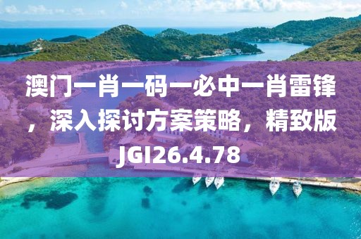 澳门一肖一码一必中一肖雷锋，深入探讨方案策略，精致版JGI26.4.78