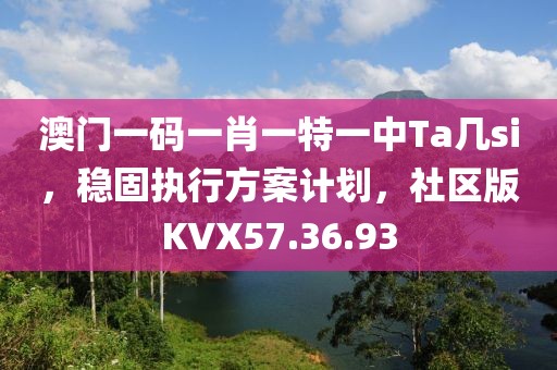 澳门一码一肖一特一中Ta几si，稳固执行方案计划，社区版KVX57.36.93