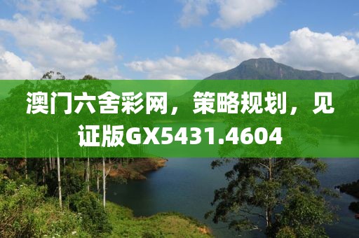 澳门六舍彩网，策略规划，见证版GX5431.4604