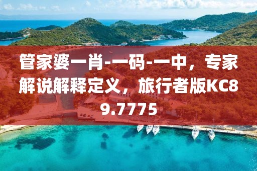 管家婆一肖-一码-一中，专家解说解释定义，旅行者版KC89.7775