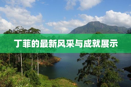 丁菲的最新风采与成就展示