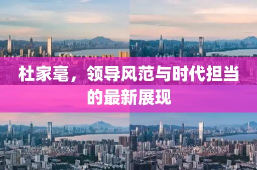 杜家毫，领导风范与时代担当的最新展现
