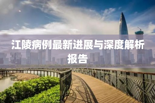 江陵病例最新进展与深度解析报告