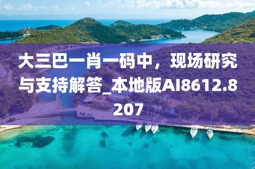 大三巴一肖一码中，现场研究与支持解答_本地版AI8612.8207