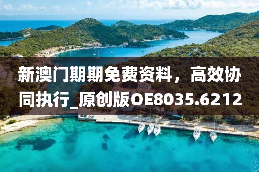 新澳门期期免费资料，高效协同执行_原创版OE8035.6212