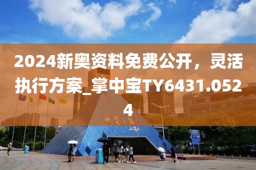 2024新奥资料免费公开，灵活执行方案_掌中宝TY6431.0524