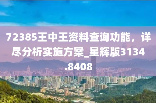 72385王中王资料查询功能，详尽分析实施方案_星辉版3134.8408