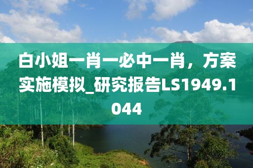 白小姐一肖一必中一肖，方案实施模拟_研究报告LS1949.1044