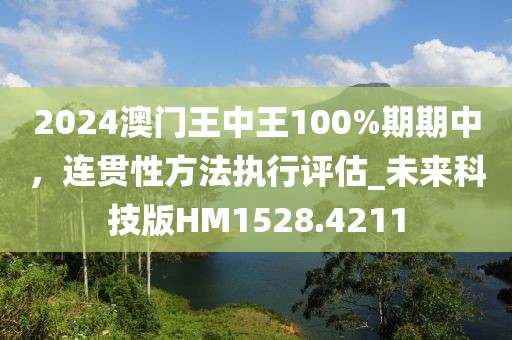 2024澳门王中王100%期期中，连贯性方法执行评估_未来科技版HM1528.4211