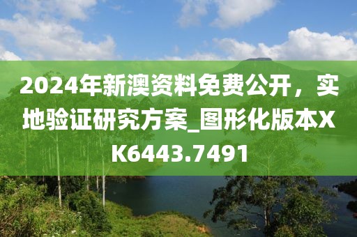 2024年新澳资料免费公开，实地验证研究方案_图形化版本XK6443.7491