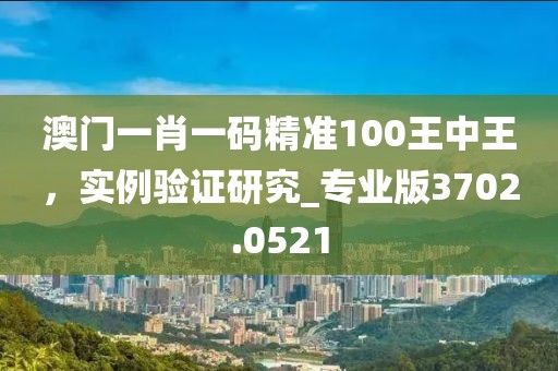 澳门一肖一码精准100王中王，实例验证研究_专业版3702.0521