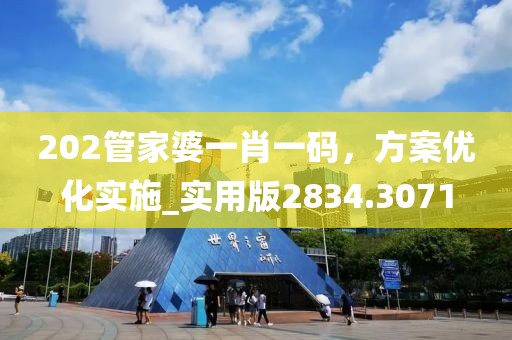 202管家婆一肖一码，方案优化实施_实用版2834.3071