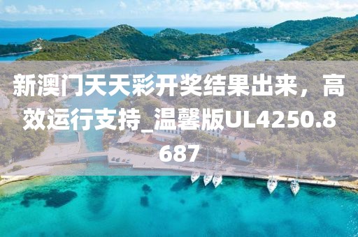 新澳门天天彩开奖结果出来，高效运行支持_温馨版UL4250.8687