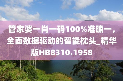 管家婆一肖一码100%准确一，全面数据驱动的智能枕头_精华版HB8310.1958