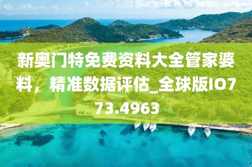 新奥门特免费资料大全管家婆料，精准数据评估_全球版IO773.4963
