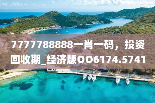 7777788888一肖一码，投资回收期_经济版OO6174.5741