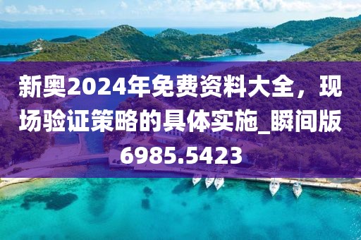 新奥2024年免费资料大全，现场验证策略的具体实施_瞬间版6985.5423