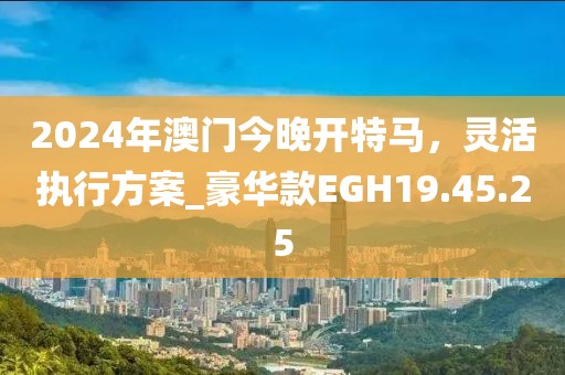 2024年澳门今晚开特马，灵活执行方案_豪华款EGH19.45.25