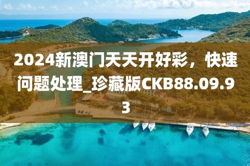 2024新澳门天天开好彩，快速问题处理_珍藏版CKB88.09.93
