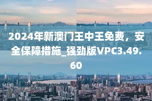 2024年新澳门王中王免费，安全保障措施_强劲版VPC3.49.60