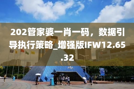 202管家婆一肖一码，数据引导执行策略_增强版IFW12.65.32