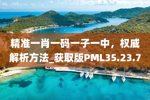 精准一肖一码一子一中，权威解析方法_获取版PML35.23.70