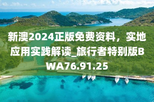 新澳2024正版免费资料，实地应用实践解读_旅行者特别版BWA76.91.25