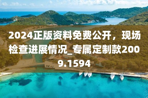 2024正版资料免费公开，现场检查进展情况_专属定制款2009.1594