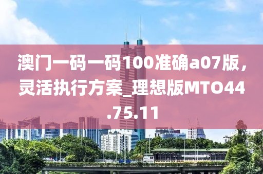 澳门一码一码100准确a07版，灵活执行方案_理想版MTO44.75.11