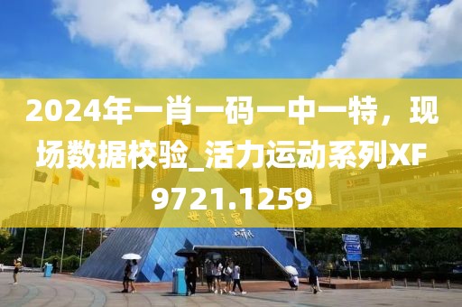 2024年一肖一码一中一特，现场数据校验_活力运动系列XF9721.1259