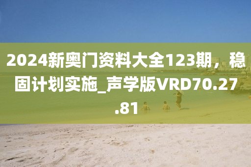 2024新奥门资料大全123期，稳固计划实施_声学版VRD70.27.81