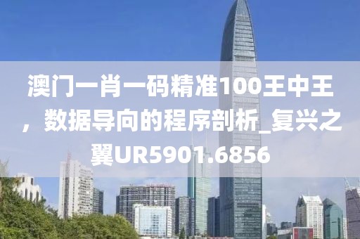 澳门一肖一码精准100王中王，数据导向的程序剖析_复兴之翼UR5901.6856